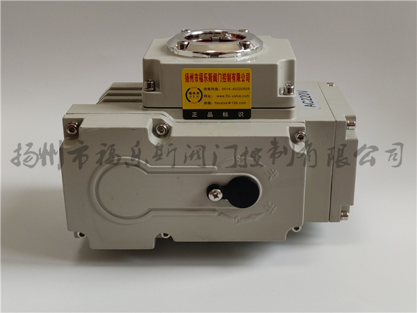 NKTE精小型電動執(zhí)行器