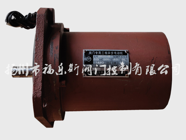 電動(dòng)執(zhí)行器電機(jī)