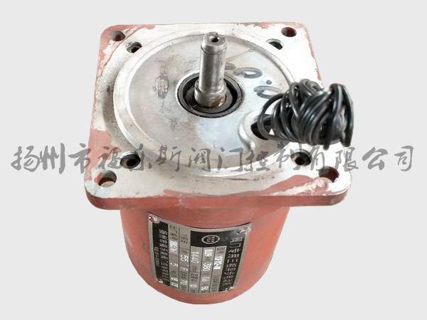 閥門電動(dòng)裝置電機(jī)